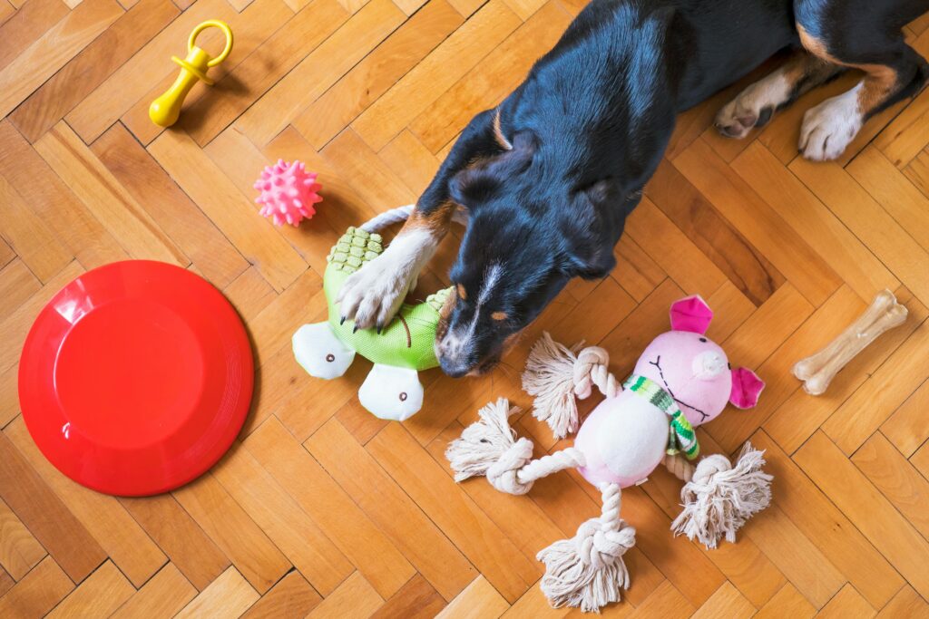 Juguetes para perros con ansiedad por separación usados en casa