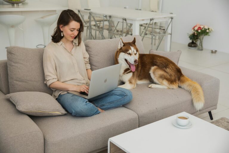 cómo corregir que tu perro te siga todo el tiempo