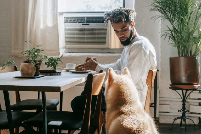 motivos por los que los perros siguen a sus dueños